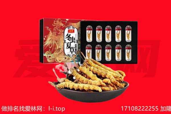 南京市鼓楼回收虫草.jpg